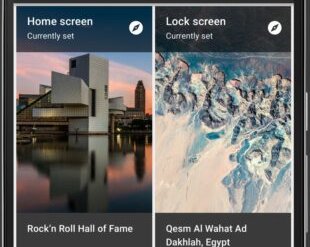 15 лучших приложений с обоями для Android
