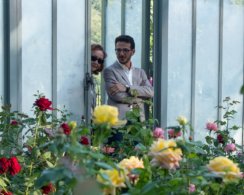 Исследование: садоводство и ходьба могут снизить риск депрессии на 23%