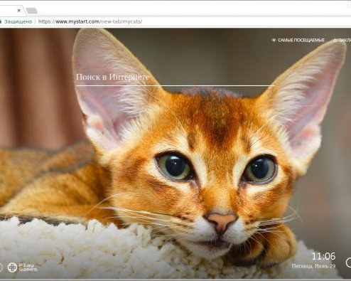 My Cats — шикарные котики в вашем Chrome