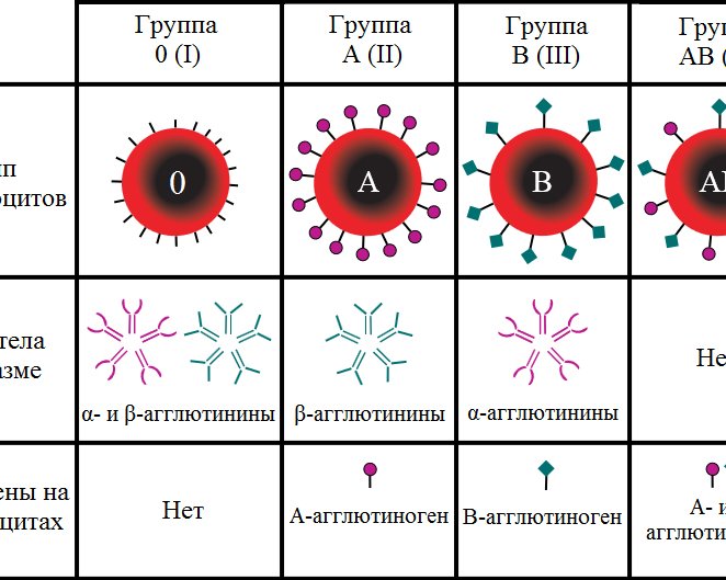 Учёные открыли систему групп крови, которая есть лишь у нескольких человек на планете